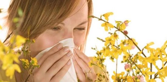 Весенние «шалости» здоровья: аллергия