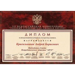 Диплом Сильный руководитель (код  9019)