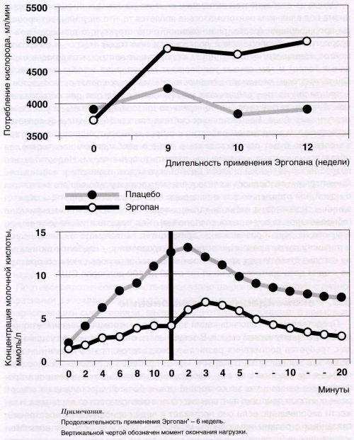 Влияние пантогематогена на потребление кислорода при физической нагрузке