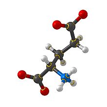 Глютаминовая кислота: вид молекулы