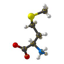 Метионин: вид молекулы