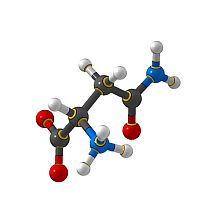 Аспарагиновая кислота: вид молекулы