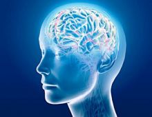 Брейн Бустер: эффективная поддержка для головного мозга