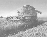 «Байкал ЭМ-1-У» при выращивании озимой пшеницы в условиях Харьковщины