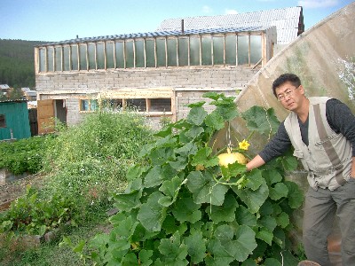 Эксперементальное хозяйство ЭМ-центра в Улан-Удэ